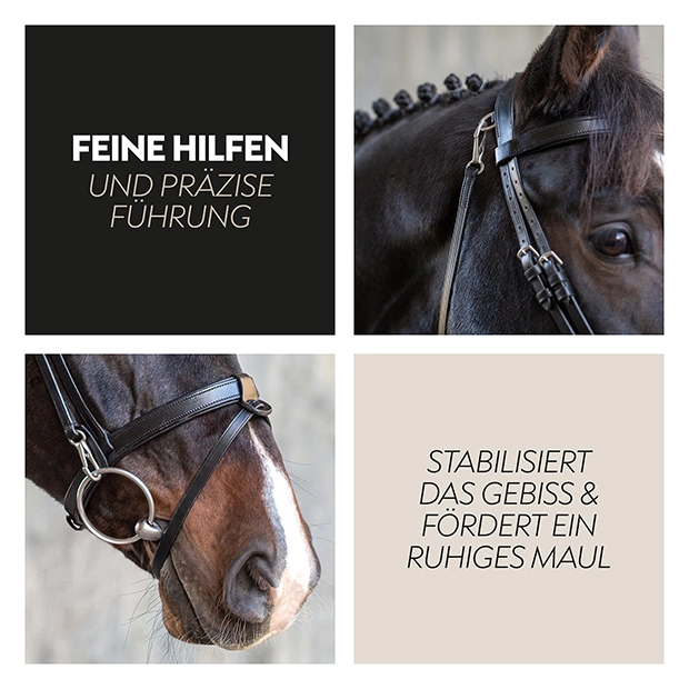 English combined bridle "Berlin" with reins