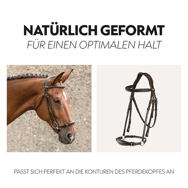 Hanoverian bridle "Hannover" with reins