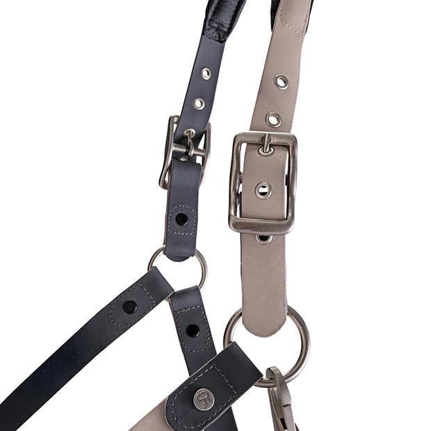 Biothane Halfter mit Strick
