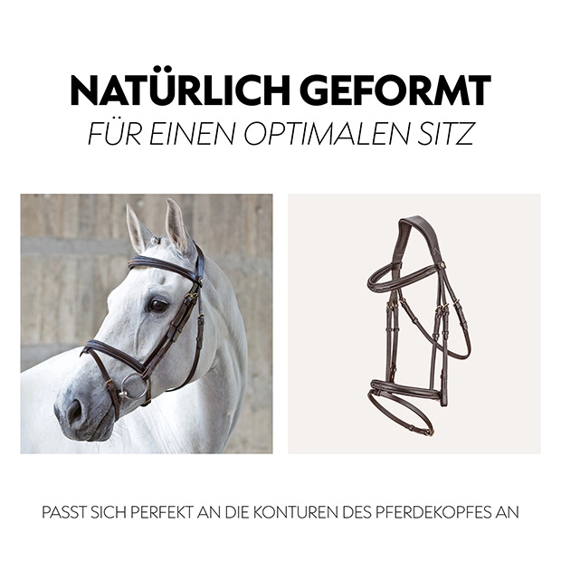 Englisch kombinierte Trense "London" mit Zügel