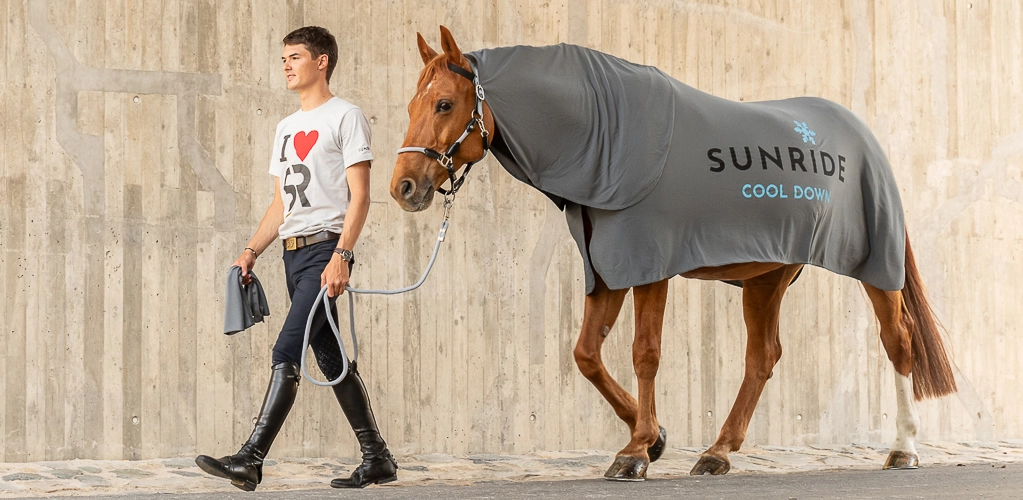 Ein Pferd wird an einer Betonmauer entlang geführt es das Pferd trägt die Kühldecke Cool Down