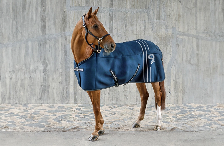 Ein Pferd steht vor einer grauen Betonwand und trägt eine blaue Unterdecke