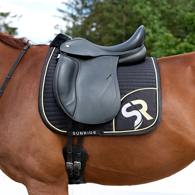 Leder Kurzgurt "Monaco"