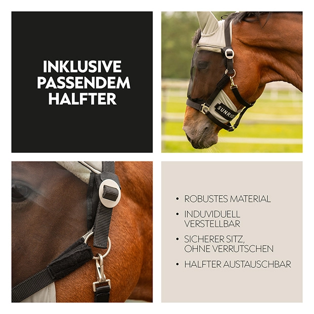 Fly mask with halter "Dubai"