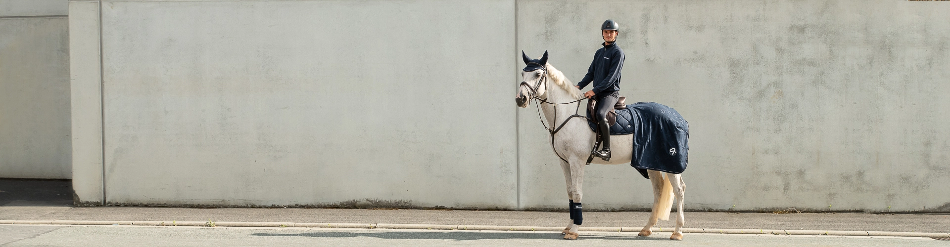 Ein Reiter sitzt auf einem Pferd mit blauer Schabracke passender Abschwitzdecke und Fliegenohren und blickt nach vorn im Hintergrund ist eine helle Betonwand zu sehen