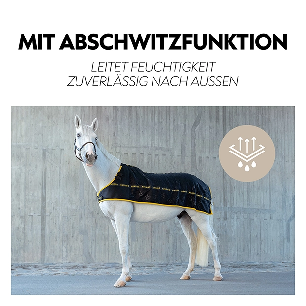 Fleece Unterdecke (Inlett)