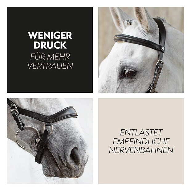 Englisch kombinierte Trense "York" mit Zügel