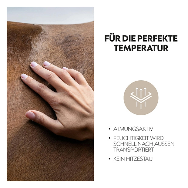 Fly mask with halter "Dubai"