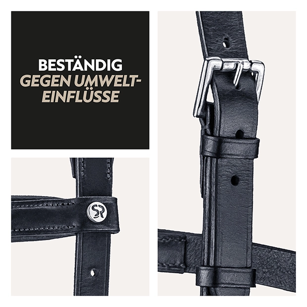 Englisch kombinierte Trense "York" mit Zügel