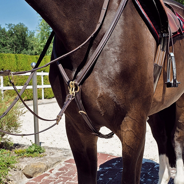vorderzeug mit martingal windsor aus braunem leder von sunride am pferd