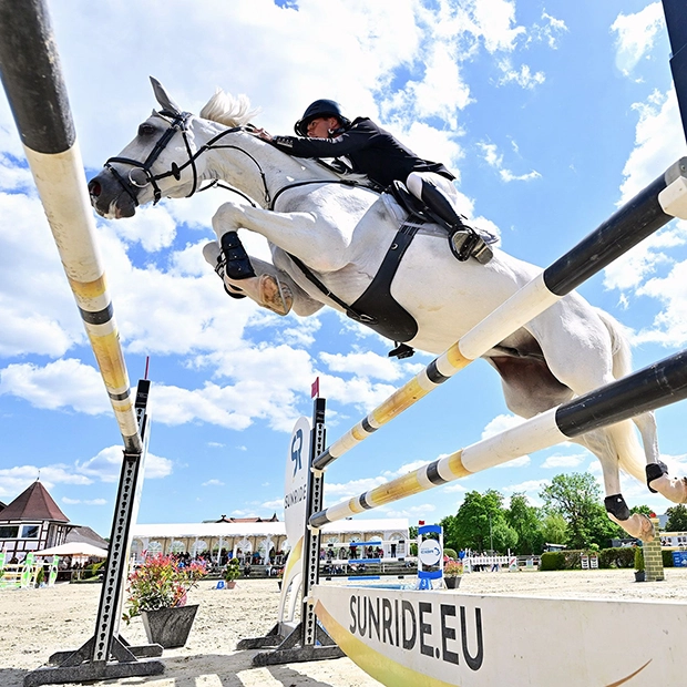 Leder Stollengurt "Hickstead"