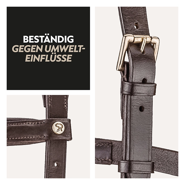 Englisch kombinierte Trense "York" mit Zügel