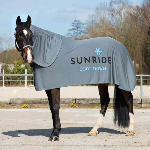 3in1 Cooling Rug "Cool Down”