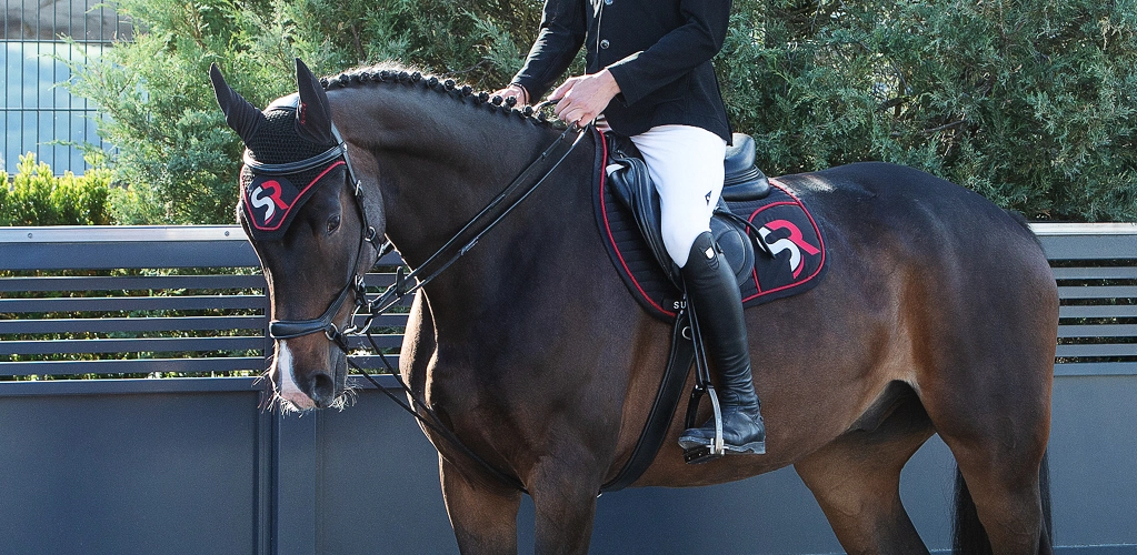 Ein Reiter sitzt auf einem Pferd das Schlaufzügel drinnen hat im Hintergrund sind ein Zaun und grüne Bäume zu sehen