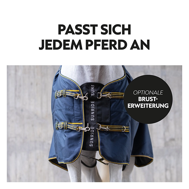 Winterdecke 100g "Stockholm" (1200D)