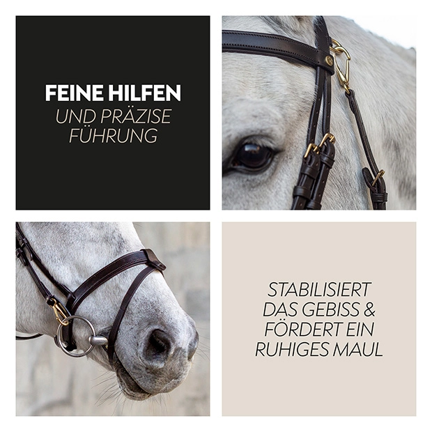 English combined bridle "Berlin" with reins