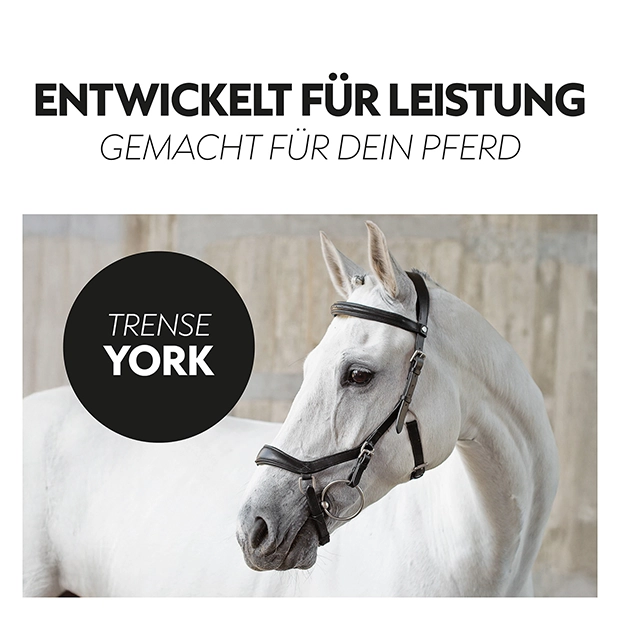 Englisch kombinierte Trense "York" mit Zügel