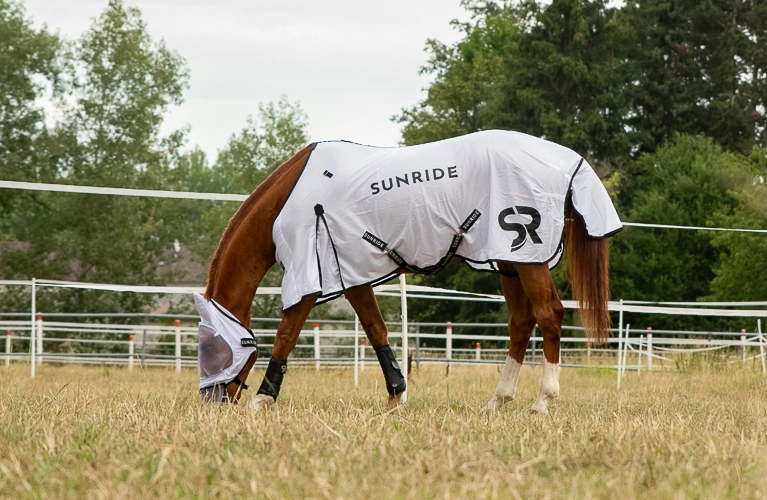Ein Pferd steht auf der Koppel mit einer Fliegendecke und hat die Fliegenmaske Miami auf