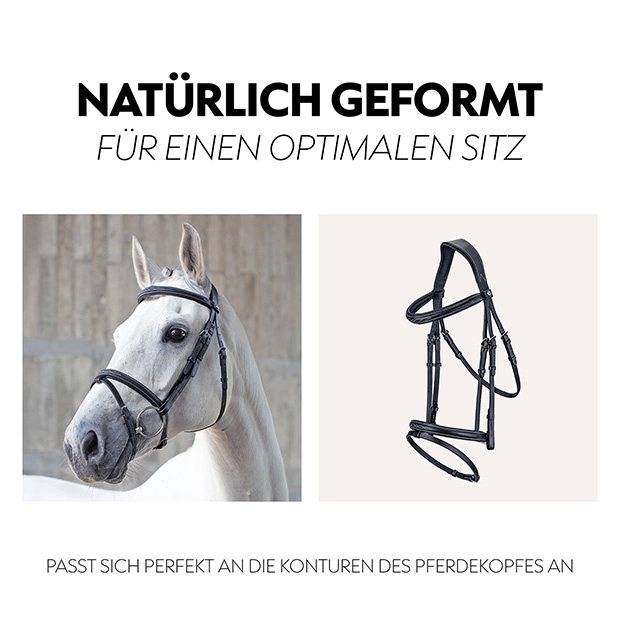 Englisch kombinierte Trense "London" mit Zügel