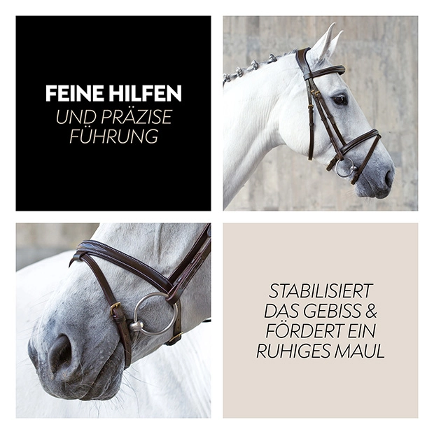 Englisch kombinierte Trense "London" mit Zügel