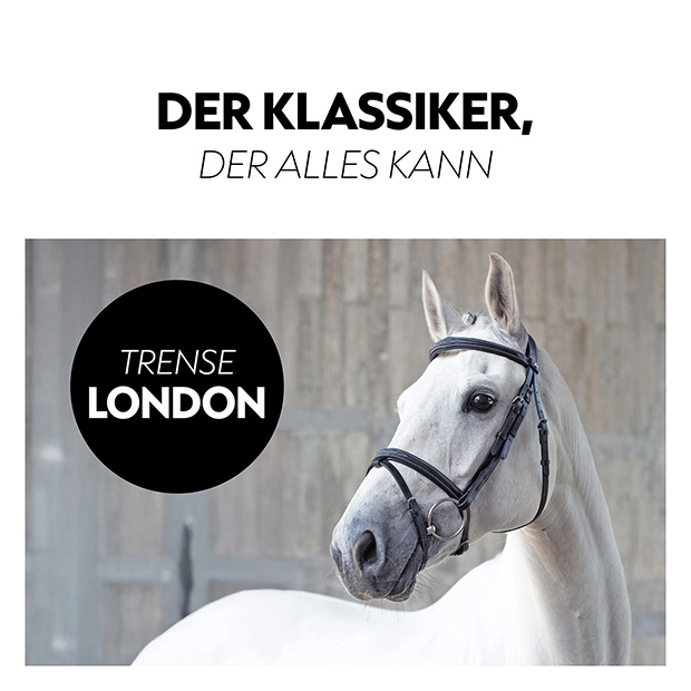 Englisch kombinierte Trense "London" mit Zügel