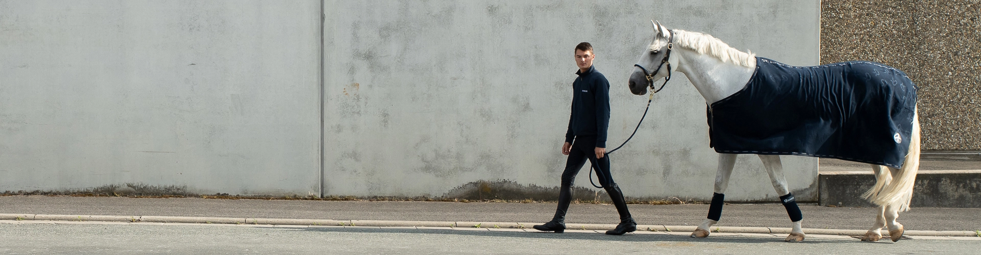 Ein Pferd mit SUNRIDE  Fleece Abschwitzdecke in Blau vor einer grauen Wand
