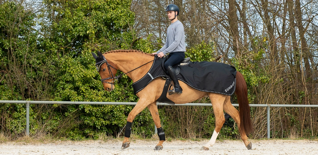 Ein Pferd und Reiter mit der Wasserdichte Ausreitdecke Derby auf dem Ausenplatz
