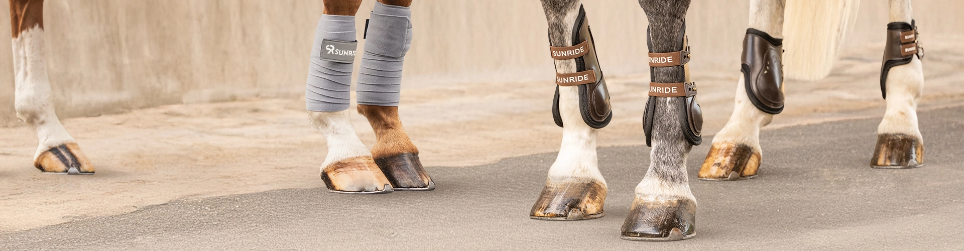 Mehrere Pferdebeine mit verschiedenen Gamaschen und Beinschützern auf dem Asphalt vor einer grauen Mauer