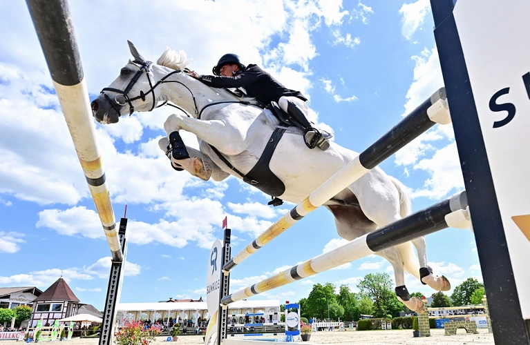 Ein Pferd und ein Reiter springen über ein Sprung und das Pferd hat den Leder Stollengurt Hickstead an