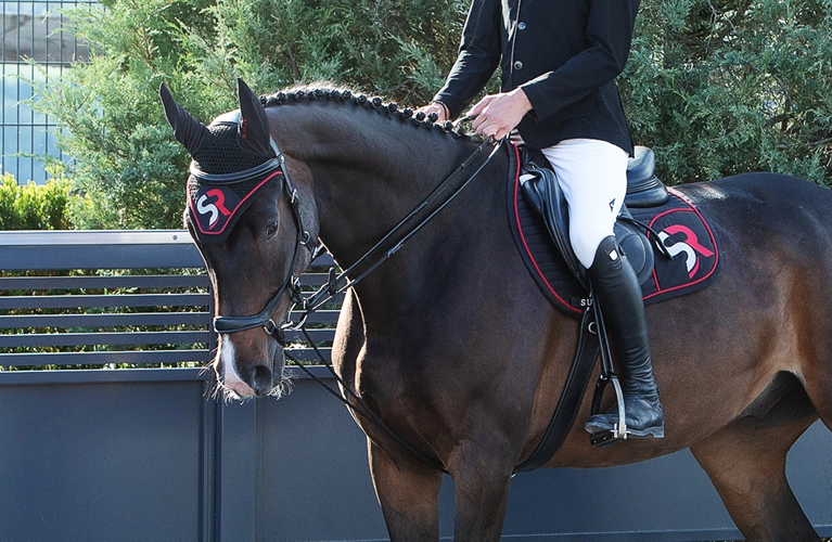 Ein Reiter sitzt auf einem Pferd das Schlaufzügel drinnen hat im Hintergrund sind ein Zaun und grüne Bäume zu sehen