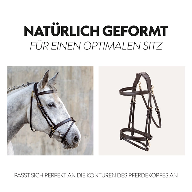 English combined bridle "Berlin" with reins