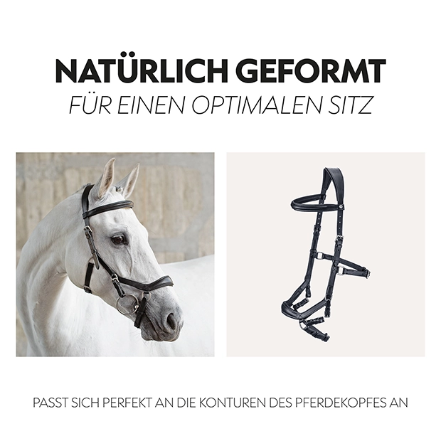 Englisch kombinierte Trense "York" mit Zügel