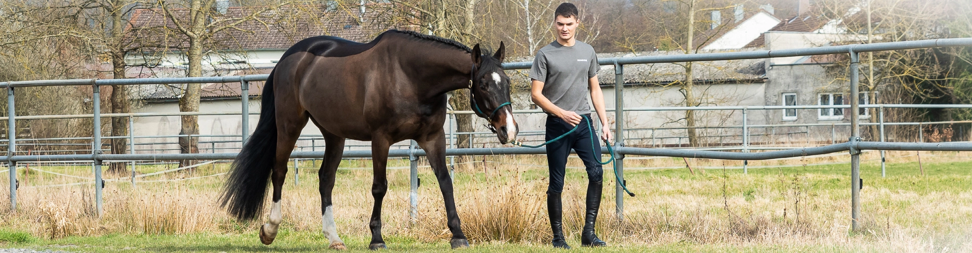 Ein Pferd läuft mit seinem Reiter an einer Koppel entlang und es trägt das Lederhalfter Denver