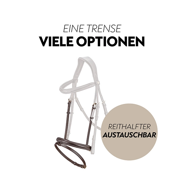 Englisch kombinierte Trense "London" mit Zügel