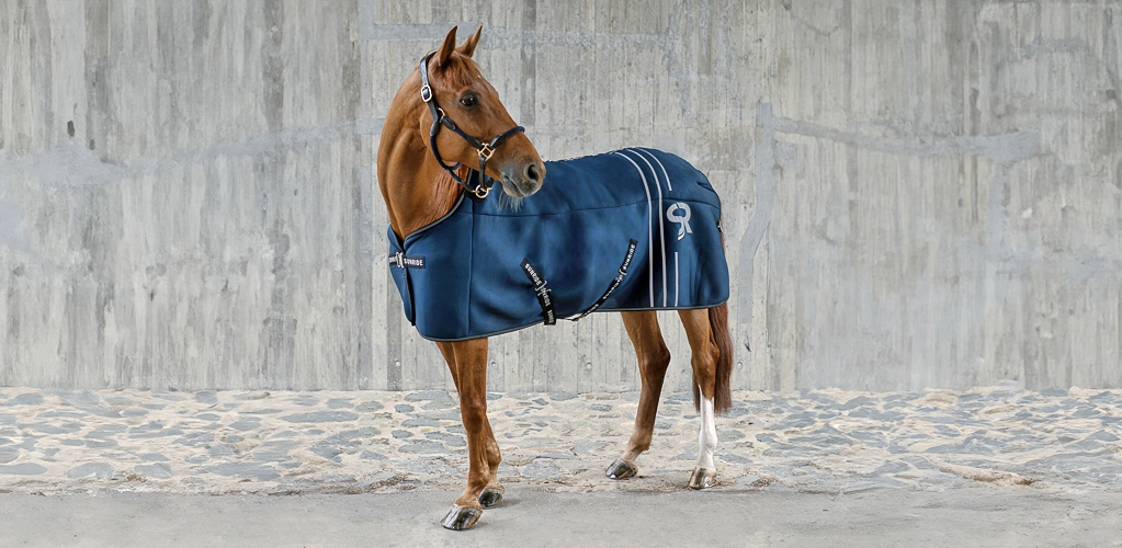 Ein Pferd steht vor einer grauen Betonwand und trägt eine blaue Unterdecke