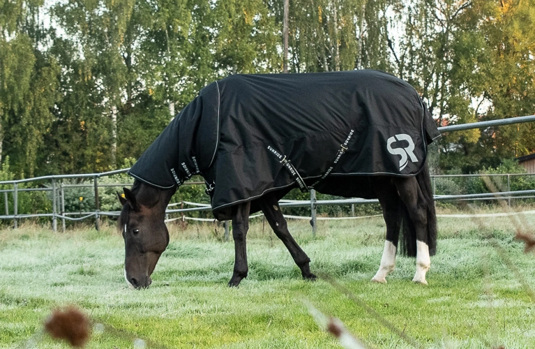 Ein Pferd steht bei kälte auf der Koppel und es trägt die Regendecke Dublin mit Halsteil