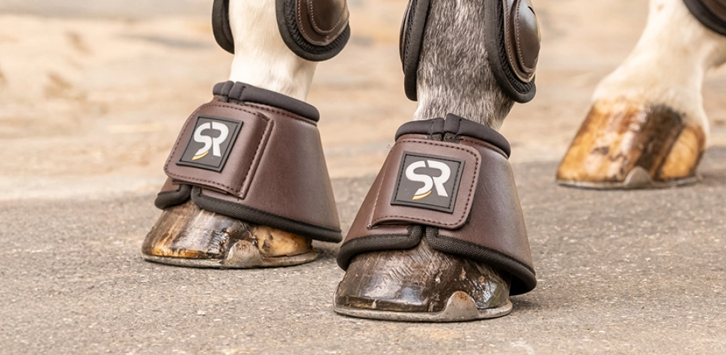 Drei Pferdehufen stehen auf auf dem Asphalt und die zwei vorderen Hufen tragen braune Leder Hufglocken