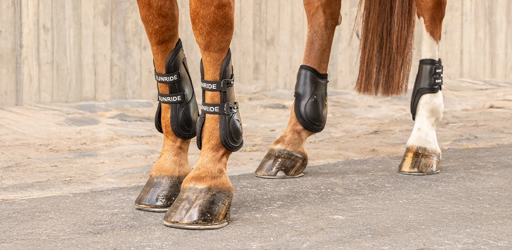 Vier Pferdebeine mit braunen Gamaschen und Streichkappen auf dem Asphalt und vor einer Mauer links daneben der Text Abgestimmt Komplett Sicher