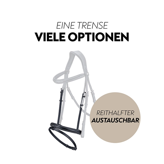 Englisch kombinierte Trense "London" mit Zügel
