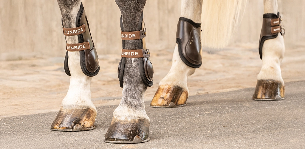 Mehrere Pferdebeine mit braunen Gamaschen und Streichkappen auf Asphalt vor einer hellen Mauer