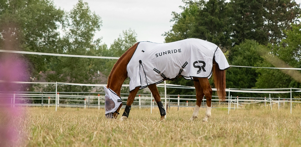Ein Pferd steht auf der Koppel mit einer Fliegendecke und hat die Fliegenmaske Miami auf