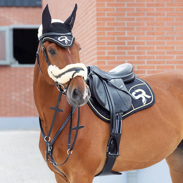 exklusive set schwarz mit gold bestehend aus der schabracke sowie dem ohrnetz von sunride am pferd