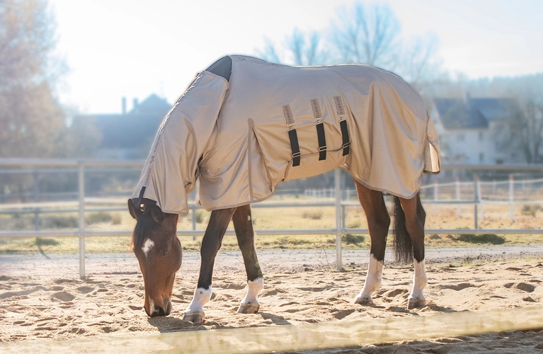 Ein Pferd steht auf dem Paddock mit der Kuba Fliegendecke