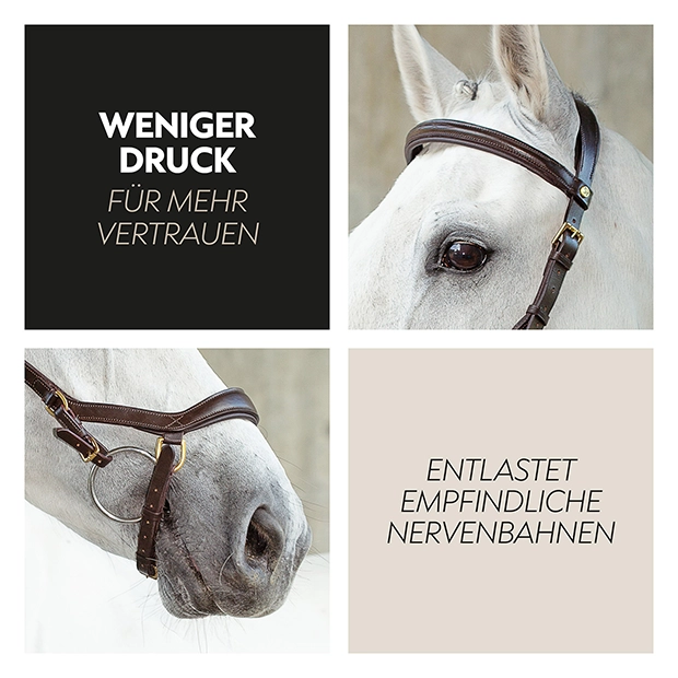 Englisch kombinierte Trense "York" mit Zügel