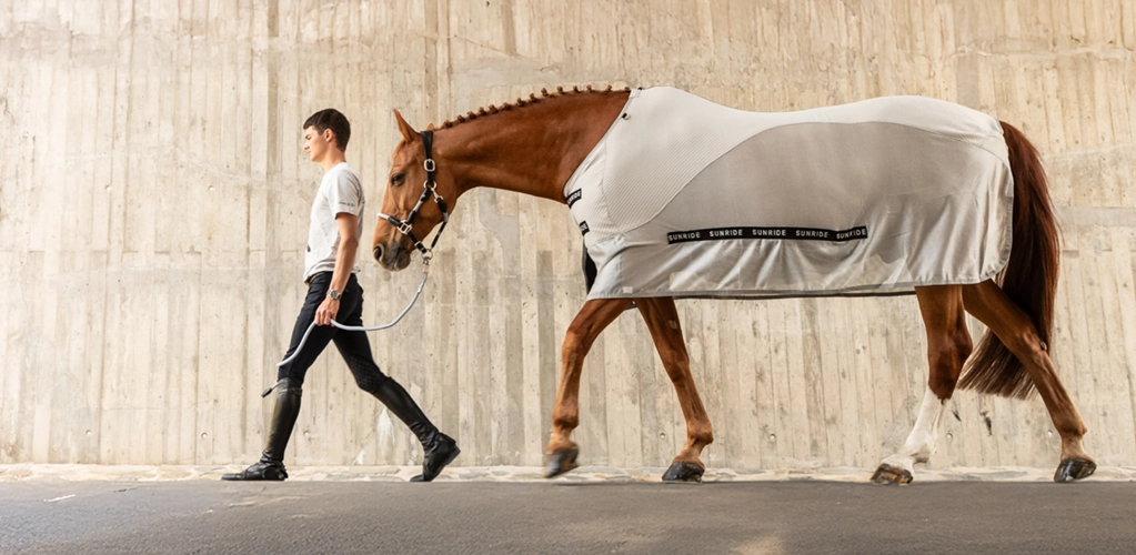Ein Reiter führt ein Pferd an der Hand Das Pferd trägt eine Sommerdecke von Sunride in hellgrau
