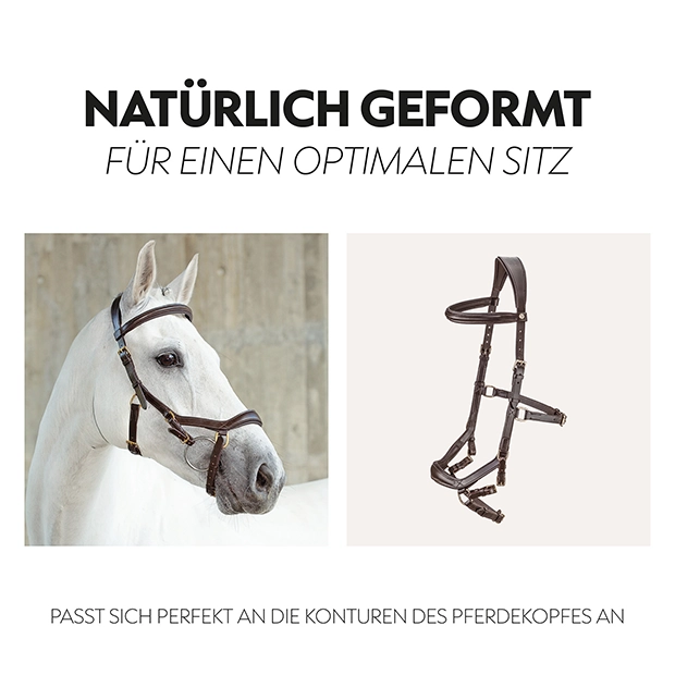 Englisch kombinierte Trense "York" mit Zügel