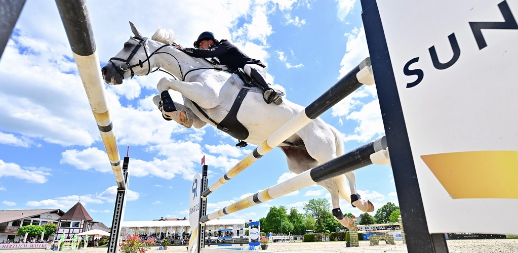 Ein Pferd und ein Reiter springen über ein Sprung und das Pferd hat den Leder Stollengurt Hickstead an