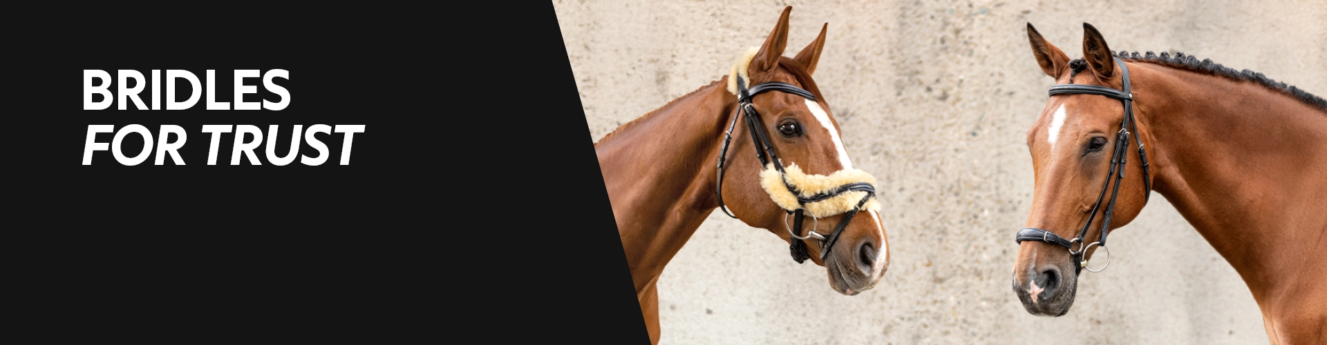 Two horses stand facing each other wearing bridles one of the horses has a bridle with light sheepskin padding on the left the text reads Bridles for Trust