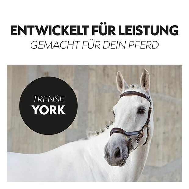 Englisch kombinierte Trense "York" mit Zügel