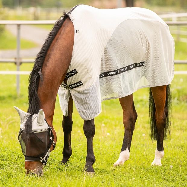Fly mask with halter "Dubai"